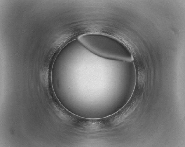 X0000116460493200912091252
