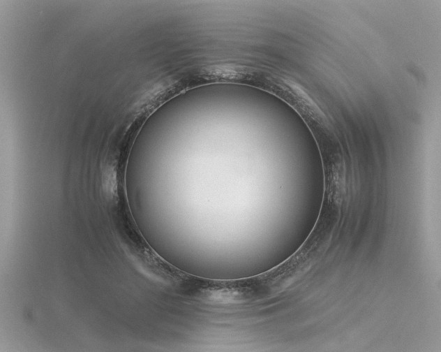 X0000116460500200912091251