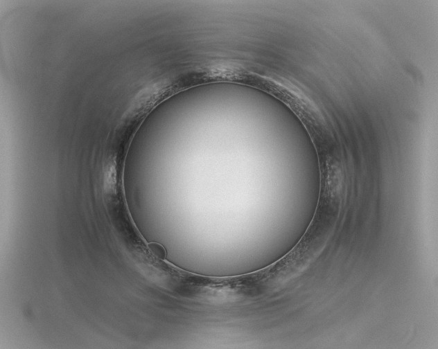 X0000116460502200912091251