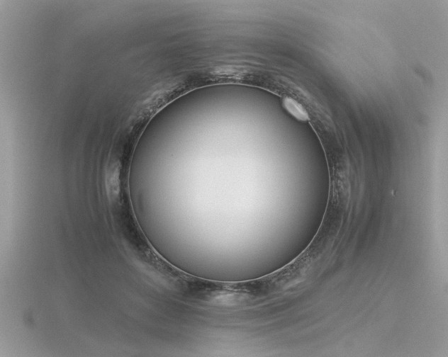 X0000116460504200912091251