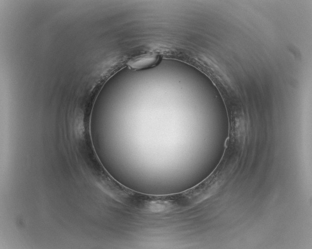 X0000116460508200912091251