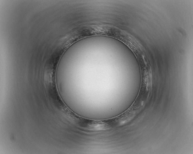 X0000116460514200912091251