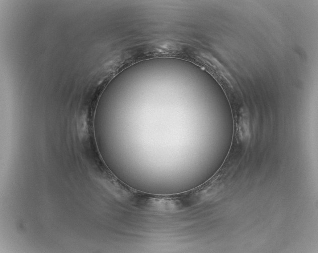 X0000116460520200912091251