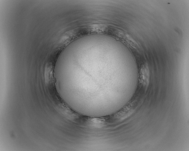 X0000116460522200912091251