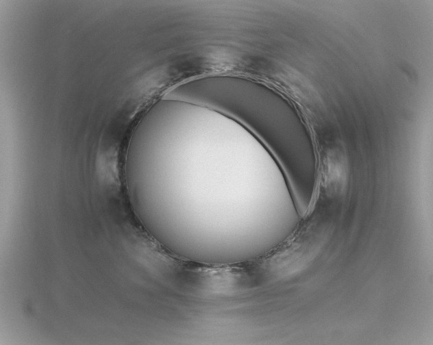 X0000116460524200912091251