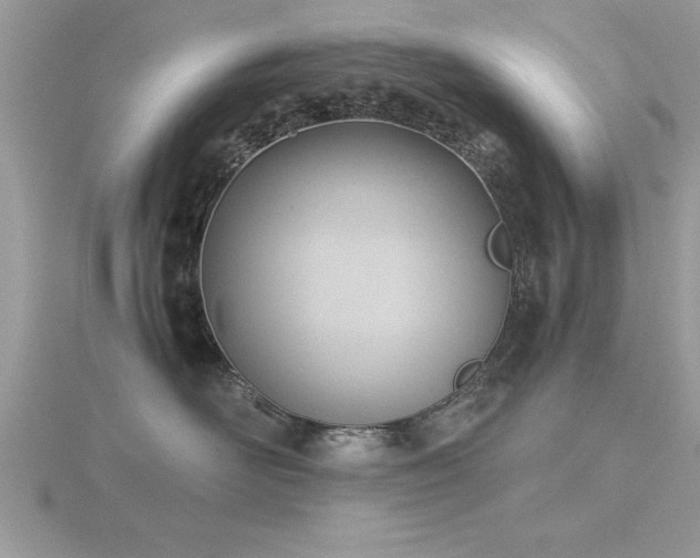 X0000116460526200912091251