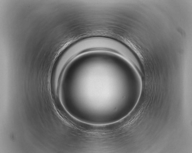 X0000116460530200912091250