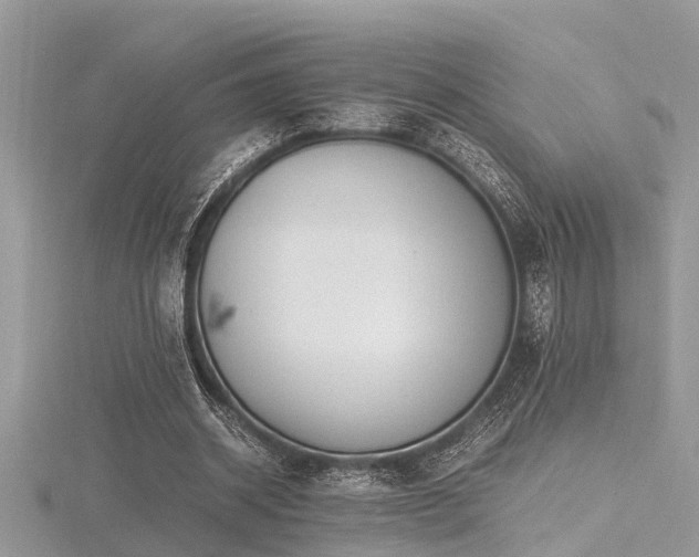X0000116460534200912091250
