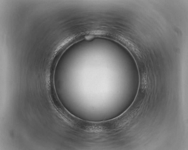 X0000116460535200912091250
