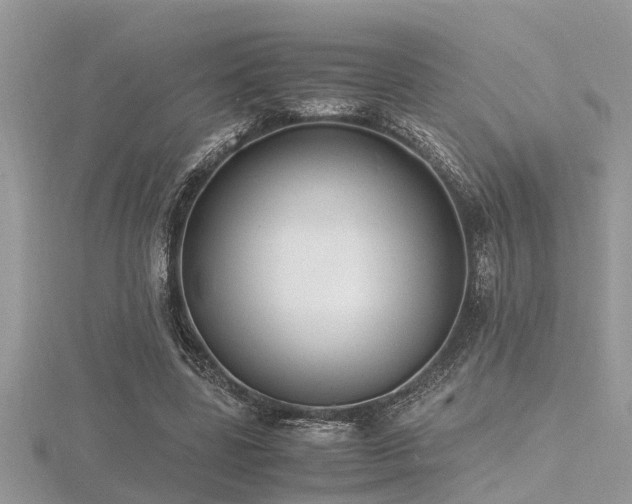 X0000116460539200912091250