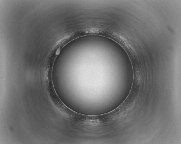 X0000116460543200912091250