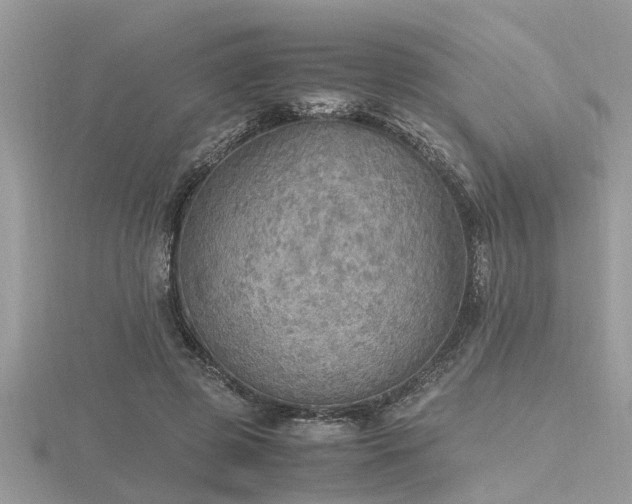 X0000116460545200912091250