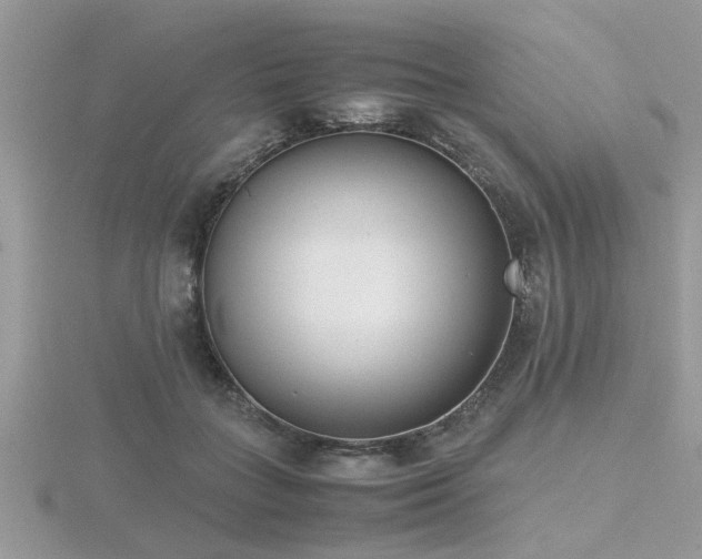 X0000116460555200912091251