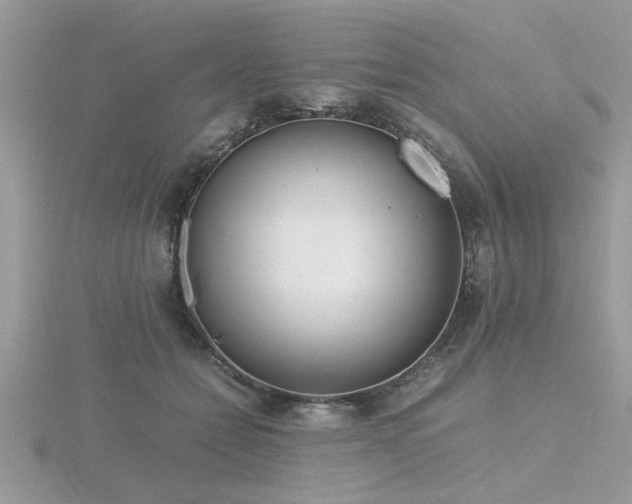 X0000116460558200912091251