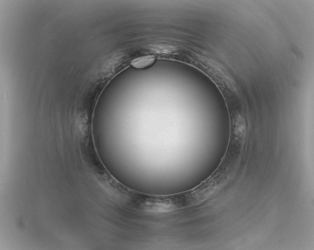 X0000116460559200912091251
