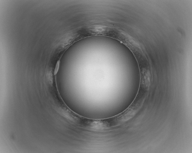 X0000116460562200912091251