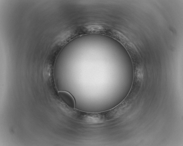 X0000116460567200912091251
