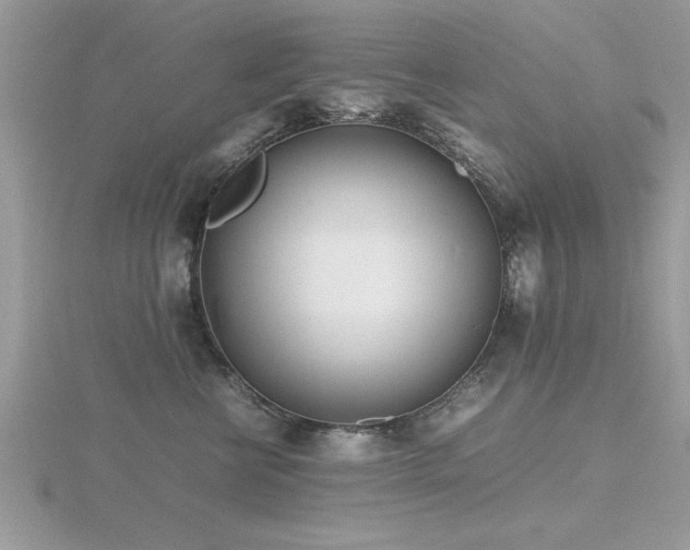 X0000116460570200912091251