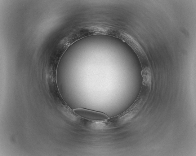 X0000116460573200912091251