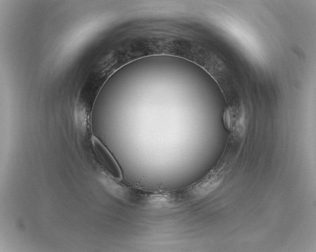 X0000116460574200912091251