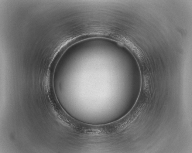 X0000116460580200912091250