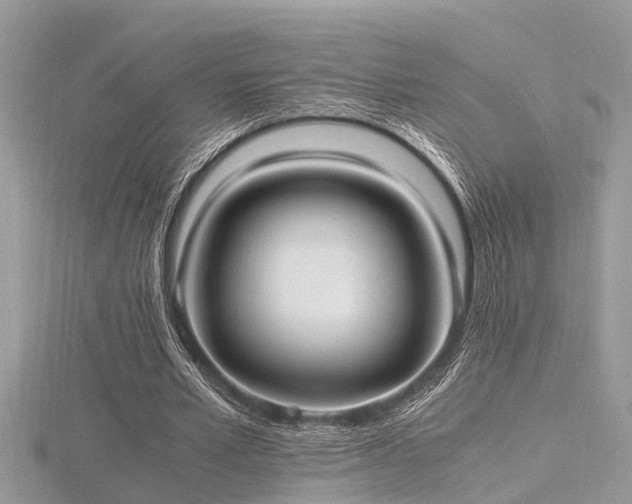 X0000116460581200912091250