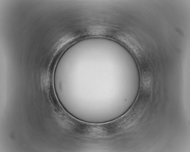X0000116460583200912091250
