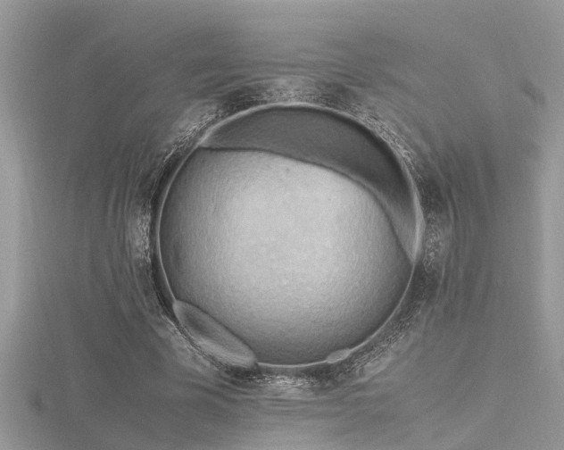 X0000116460585200912091250