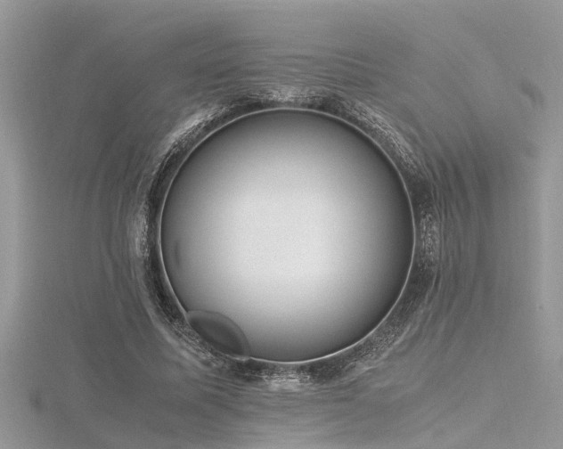 X0000116460587200912091250