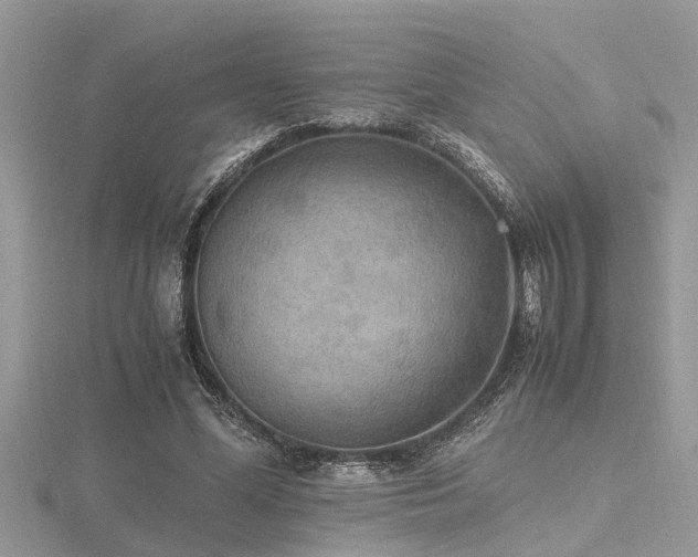 X0000116460588200912091250