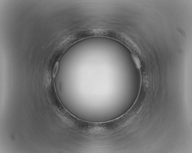 X0000116460593200912091250