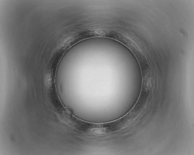 X0000116460595200912091250
