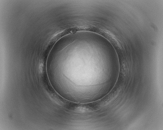 X0000116460596200912091250