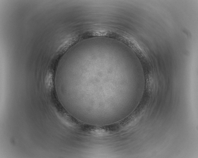 X0000116460598200912091250
