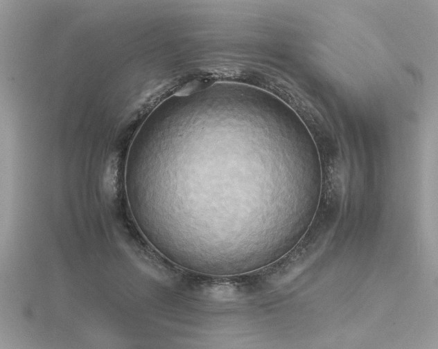 X0000116460600200912091250