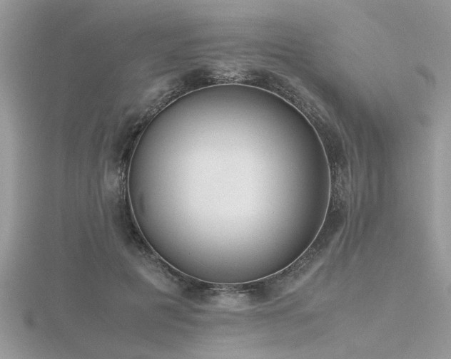 X0000116460601200912091250