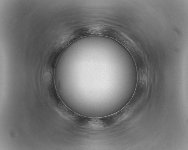X0000116460603200912091250