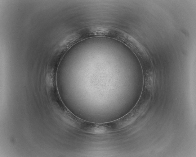 X0000116460604200912091250