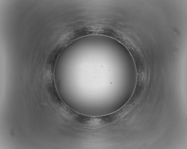 X0000116460609200912091250