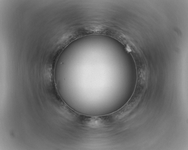 X0000116460612200912091250