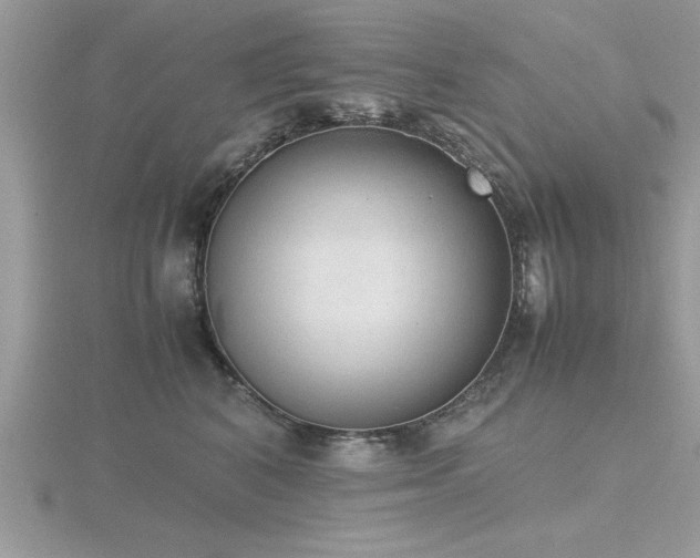 X0000116460616200912091250