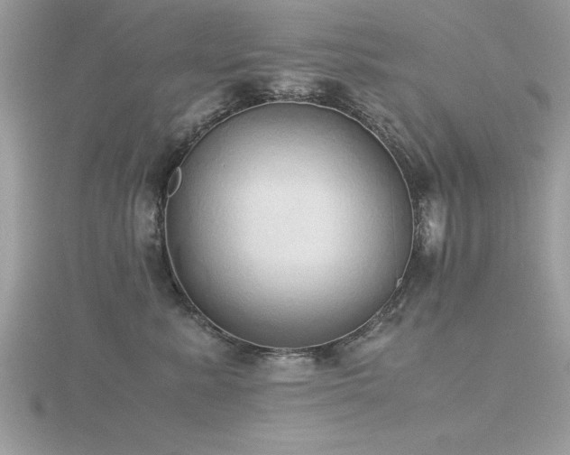 X0000116460619200912091250