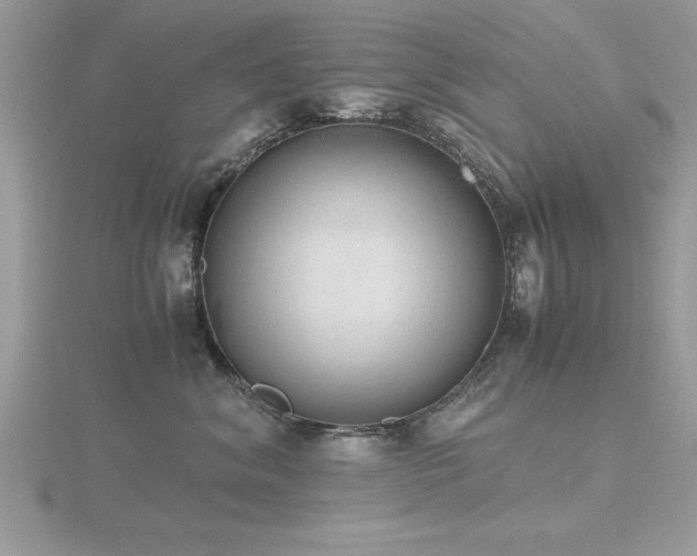 X0000116460620200912091250