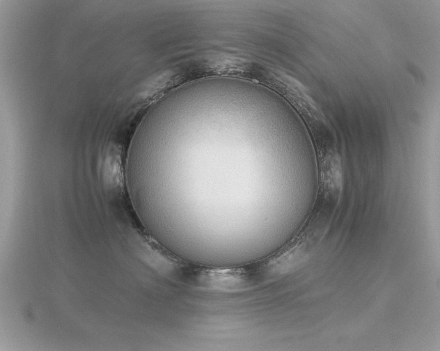 X0000116460622200912091250