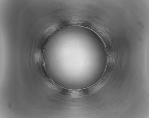 X0000116460623200912091250