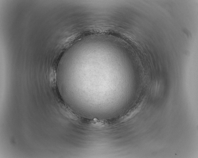 X0000116460624200912091250