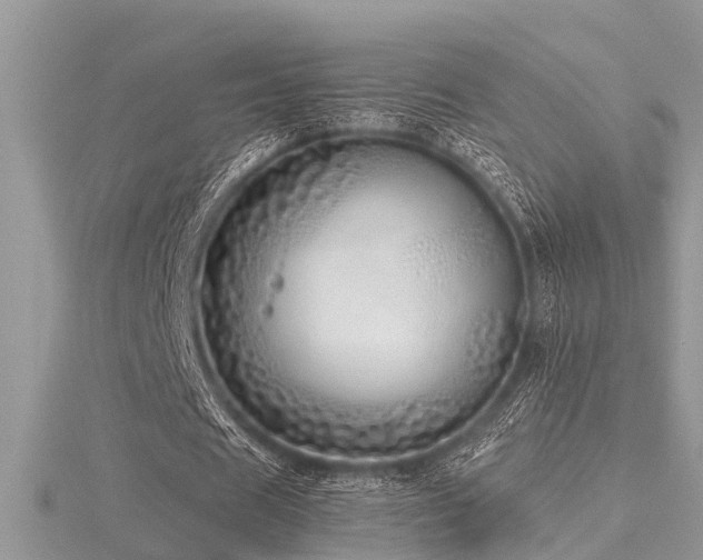 X0000116460625200912091249