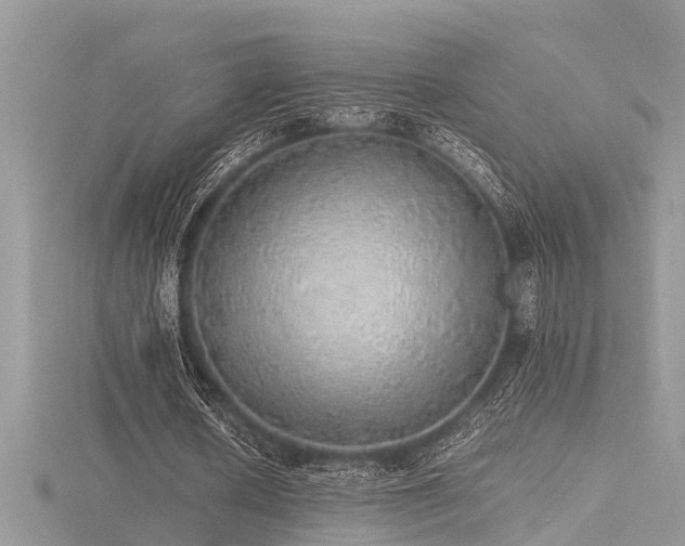 X0000116460626200912091249