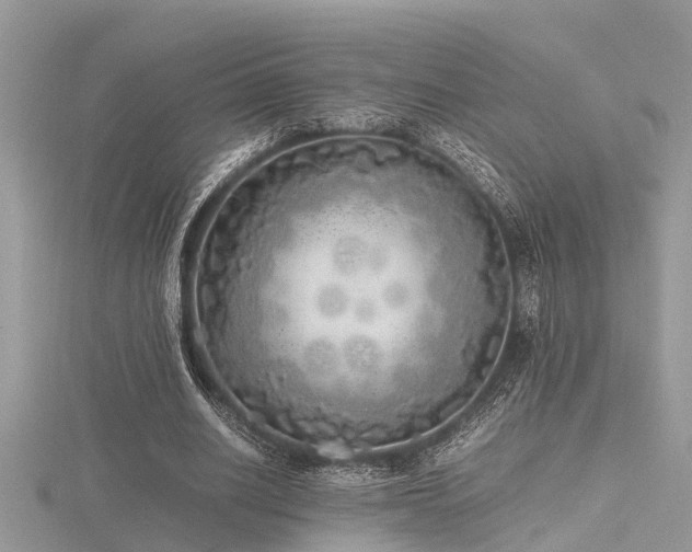 X0000116460630200912091249