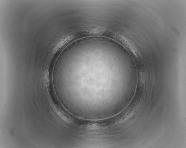 X0000116460634200912091249